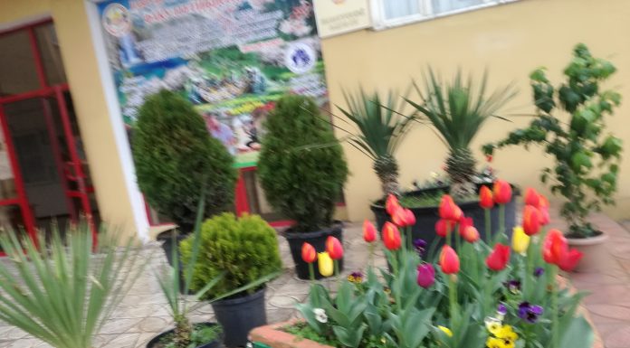 Гулҳои назди факултет