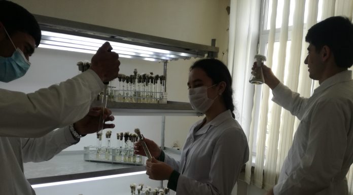 Лабораторияи кафедраи физиологияи растаниҳо ва биотехнология