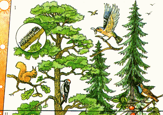 ДОНИШҲОИ БИОЛОГӢ