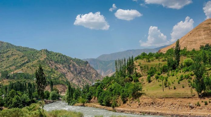 ТАВАҶҶУҲ БА КОРКАРДИ ГИЁҲҲОИ ШИФОБАХШ