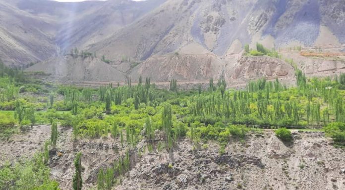 ТАҲҚИҚОТҲОИ ИЛМӢ ДАР Н. АЙНӢ