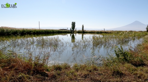 Мизи мудаввар бахшида ба “Рузи мавзеҳои обию ботлоқии Конвенсиияи Рамсар”