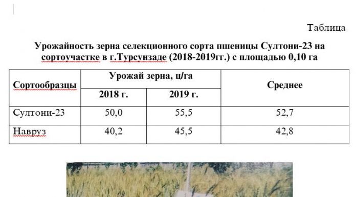 ХАРАКТЕРИСТИКА СОРТА ПШЕНИЦЫ «СУЛТОНИ-23»